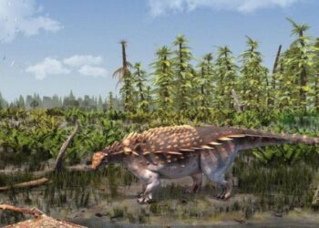 Vectipelta baretti: Yeni bir dinozor türü keşfedildi