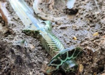 3 bin yıllık kılıç: Parlayacak kadar iyi korunmuş