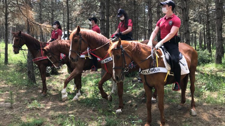 Tarihleri duyurdu: İstanbul Valiliği’nden ormanlara giriş yasağı
