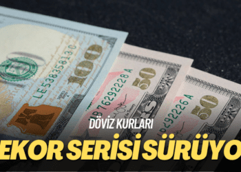Döviz kurları: Rekor serisi sürüyor