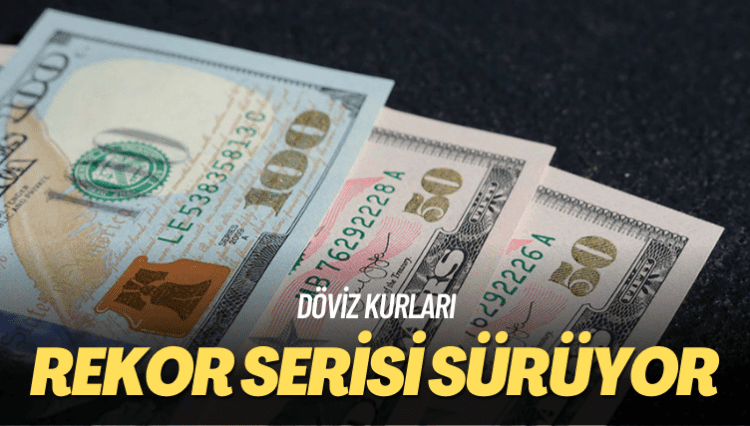 Döviz kurları: Rekor serisi sürüyor