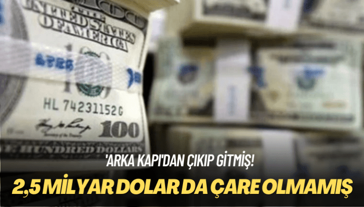 ‘Arka kapı’dan çıkıp gitmiş! 2,5 milyar dolar da TL’ye çare olmamış