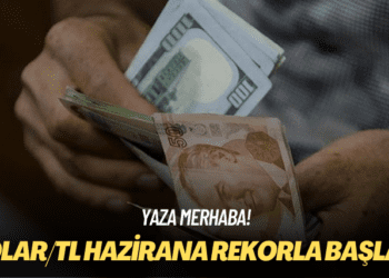 Yaza merhaba! Dolar/TL hazirana rekorla başladı