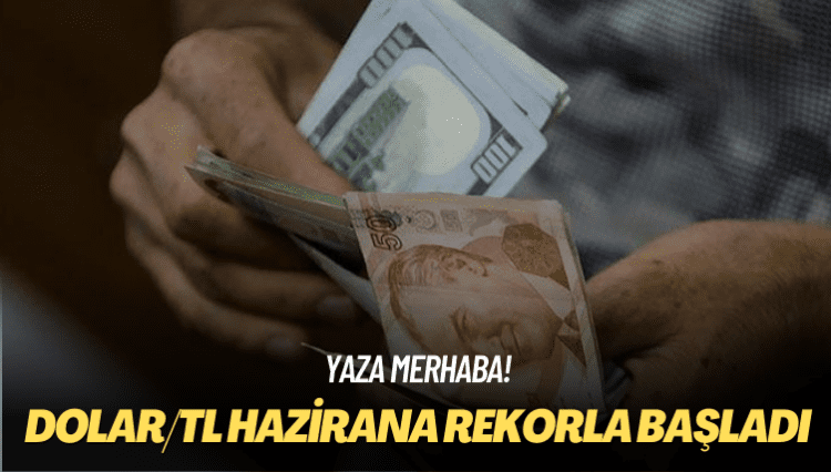 Yaza merhaba! Dolar/TL hazirana rekorla başladı