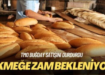 TMO buğday satışını durdurdu: Ekmeğe zam bekleniyor