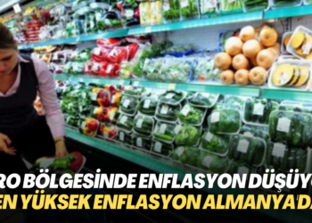 Euro bölgesinde enflasyon düşüşe geçti; En yüksek enflasyon Almanya’da