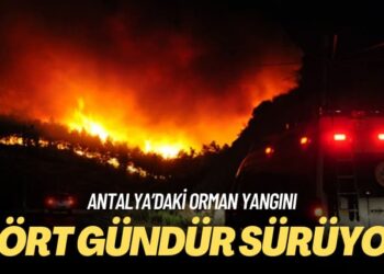 Antalya’daki orman yangını: Dört gündür sürüyor