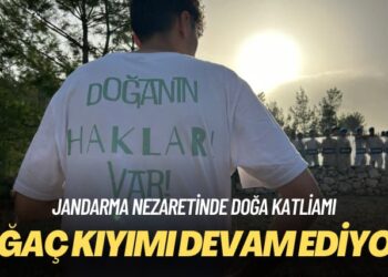 Jandarma nezaretinde doğa katliamı: Ağaç kıyımı devam ediyor