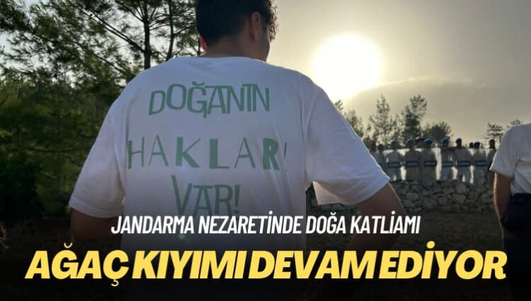 Jandarma nezaretinde doğa katliamı: Ağaç kıyımı devam ediyor