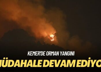 Kemer’de orman yangını: Müdahale devam ediyor