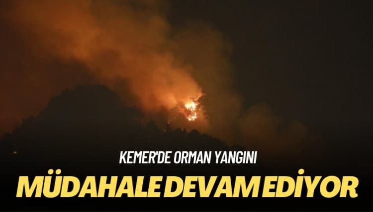 Kemer’de orman yangını: Müdahale devam ediyor