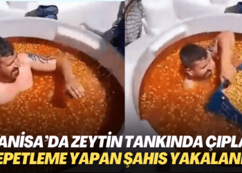 Manisa’da zeytin tankında çıplak sepetleme yapan şahıs yakalandı