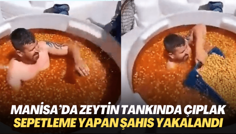 Manisa’da zeytin tankında çıplak sepetleme yapan şahıs yakalandı