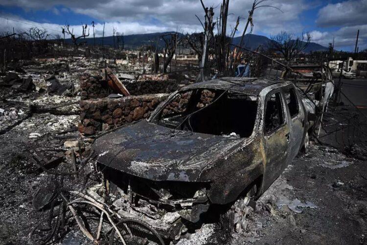Hawaii’deki orman yangınında ölü sayısı 106’ya yükseldi
