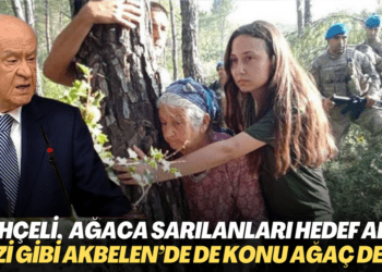 Bahçeli, ağaç katliamına direnenleri hedef aldı: Gezi’deki gibi Akbelen’de de konu ağaç olmadığı kesindir
