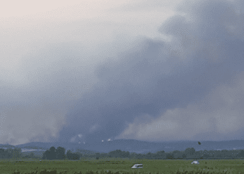 Yunanistan’daki yangın Edirne sınırına dayandı