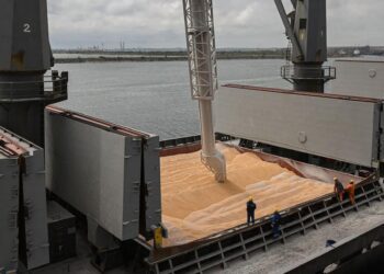 Rusya: Afrika’ya tahıl planında Türkiye ile anlaştık