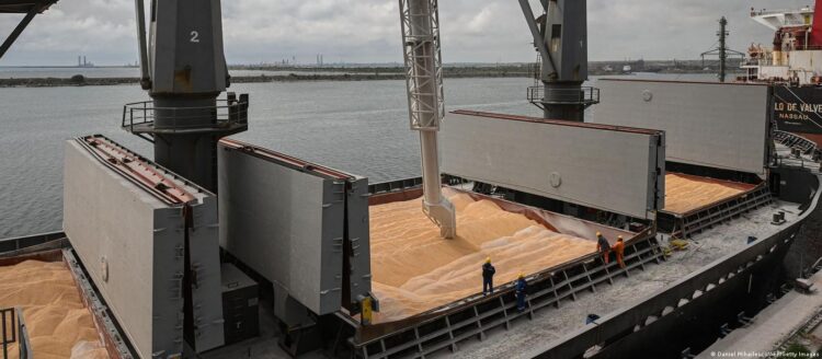 Rusya: Afrika’ya tahıl planında Türkiye ile anlaştık