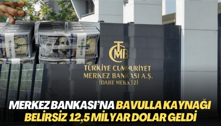 Merkez Bankası’na bavulla kaynağı belirsiz 12,5 milyar dolar geldi
