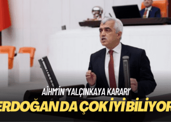 AİHM’in ‘Yalçınkaya kararı’: Erdoğan kararı uygulaması gerektiğini çok iyi biliyor