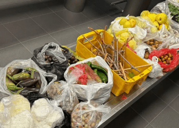 Türkiye’den getirilen yiyecekler Alman gümrüğüne takıldı