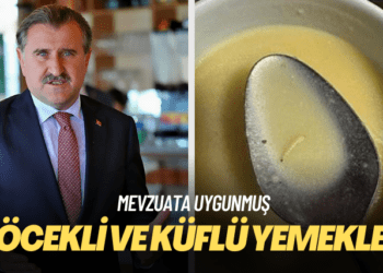 Böcekli ve küflü yemekler hangi mevzuata uygun?