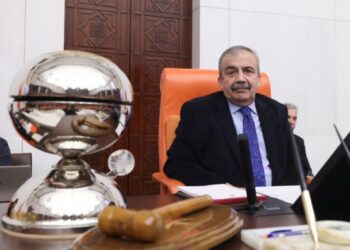 Sırrı Süreyya Önder hastaneye kaldırıldı