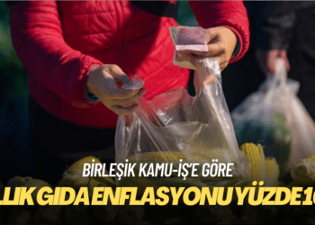 Birleşik Kamu-İş’e göre yıllık gıda enflasyonu yüzde 100
