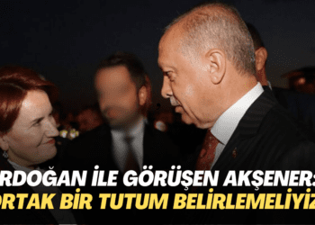 Erdoğan ile görüşen Akşener: Ortak bir tutum belirlemeliyiz
