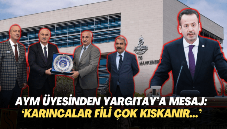 AYM üyesinden Yargıtay’a mesaj: ‘Karıncalar Fili çok kıskanır…’