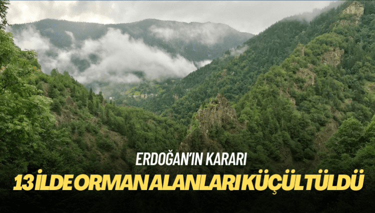 13 ilde orman alanları küçültüldü