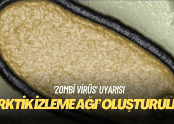 Bilim insanlarından ‘zombi virüs’ uyarısı