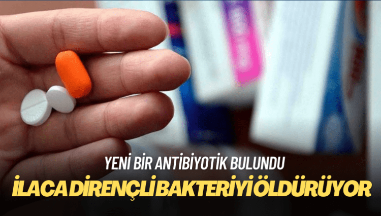İlaca dirençli bakteriyi öldüren antibiyotik bulundu