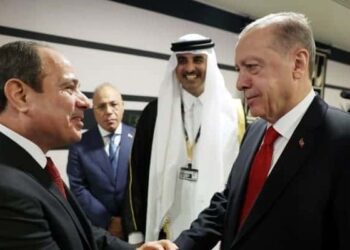 Erdoğan Sevgililer Günü’nde Sisi’yle buluşuyor