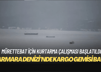 Marmara Denizi’nde kargo gemisi battı
