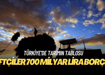 Türkiye’de tarımın tablosu: Çiftçiler 700 milyar lira borçlu