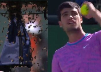 Tenis maçında arı saldırısı
