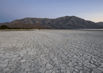 BM: Türkiye yüksek su stresi yaşayan ülkeler arasında