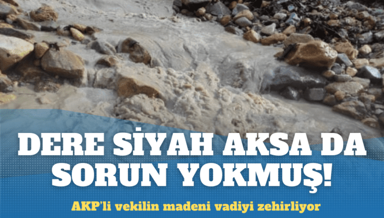 Dere siyah aksa da bir sorun yokmuş!