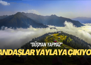 Trabzon’da iki yayla önce turizm bölgesinden çıkarıldı sonra altın madencilerine satıldı