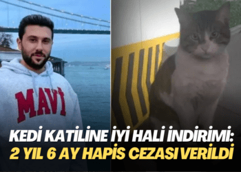 Kedi katiline iyi hali indirimi: 2 yıl 6 ay hapis cezası