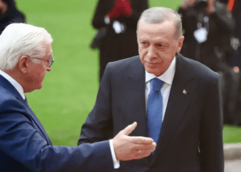 Steinmeier’e ‘Erdoğan ile açık konuş’ çağrısı