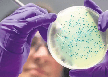 Araştırma: Bazı bakteriler vampir gibi