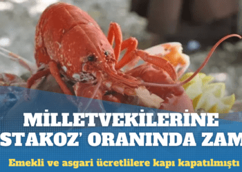 Milletvekillerine ‘ıstakoz’ oranında zam!