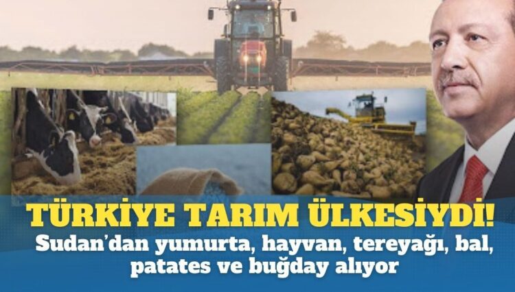 Türkiye bir zamanlar tarım ülkesiydi!; Sudan’dan 2 milyon yumurta, 52 bin hayvan, tereyağı, bal ve buğday alıyor