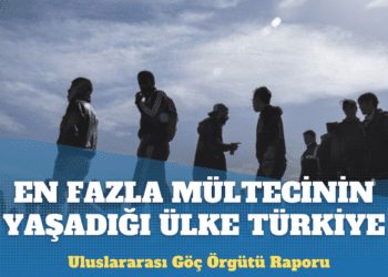 Uluslararası Göç Örgütü: En fazla mültecinin yaşadığı ülke Türkiye