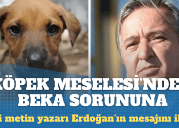 ‘Köpek meselesi’nden ‘beka sorunu’na: Eski metin yazarı Erdoğan’ın mesajını iletti