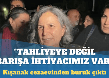 Gültan Kışanak: Tahliyeye değil barışa ihtiyacımız var