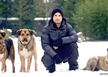 Tarkan’dan, AKP’nin ‘köpeklerin uyutulması’ teklifine tepki
