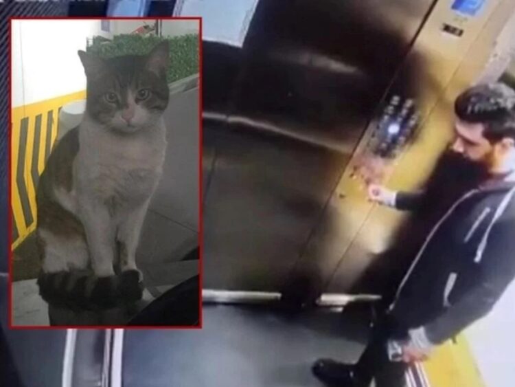 İstinaftan ‘Eros’ kararı: Sanığın cezası artırılmayacak